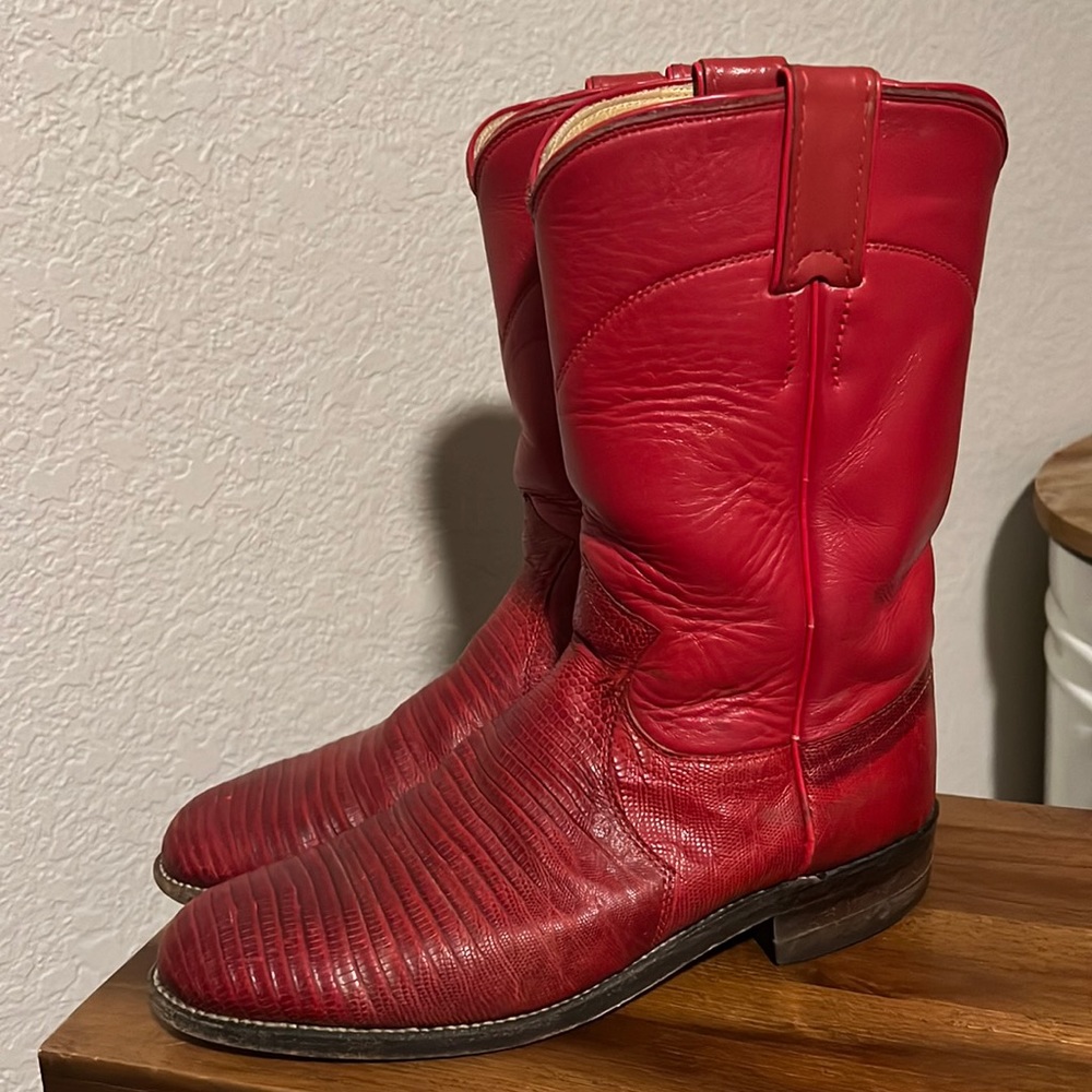 L 3097 size 7 C Teju Lizard